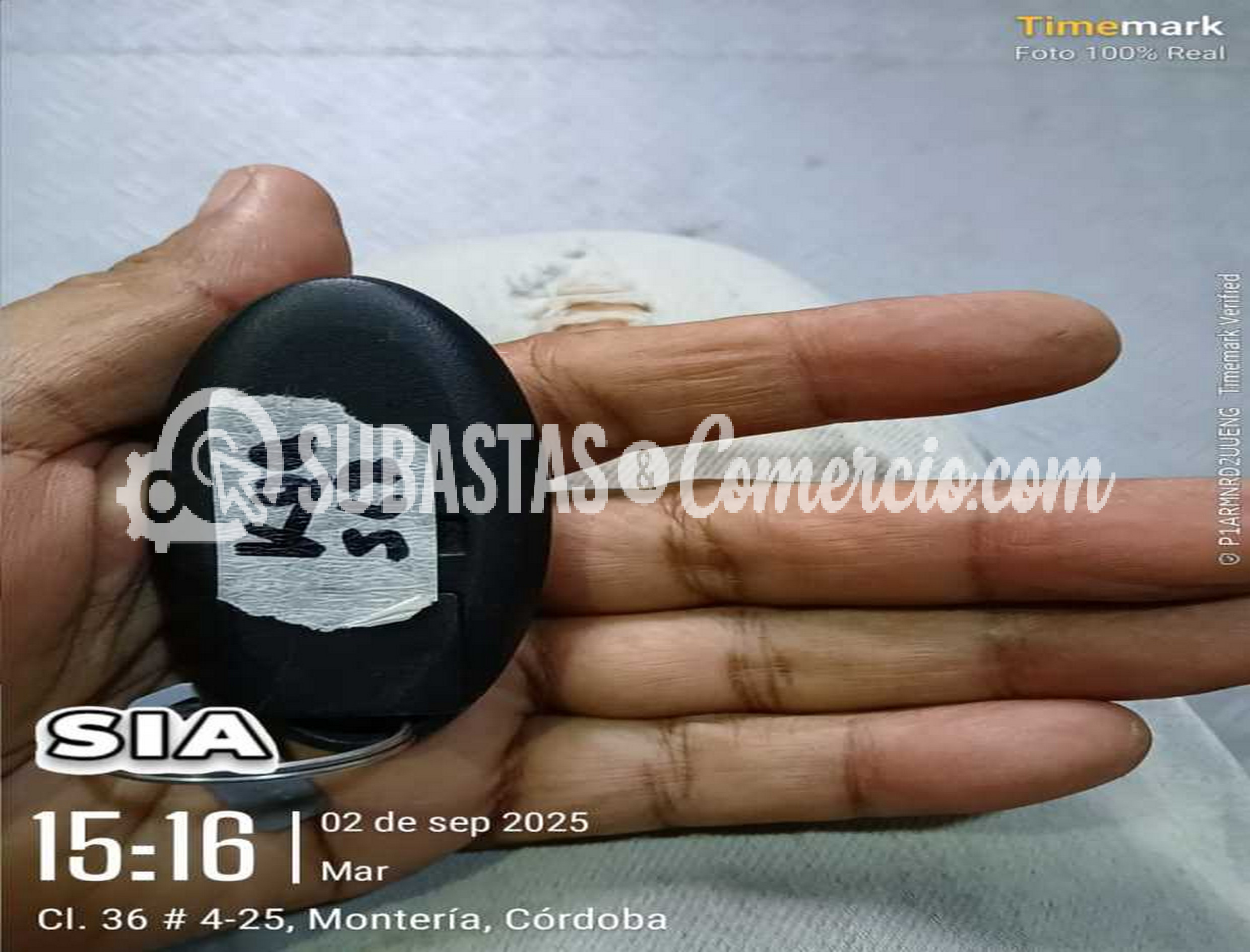 Imagen de WhatsApp 2025-09-02 a las 15.16.56_d4a00a3a.jpg